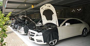provis benz